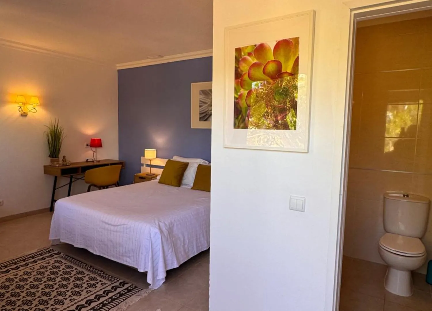 Casa Concha - Peaceful And Relaxing Hotel Lagos